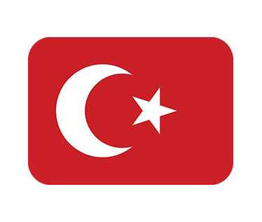 Подготовка к экзаменам онлайн по турецкому языку